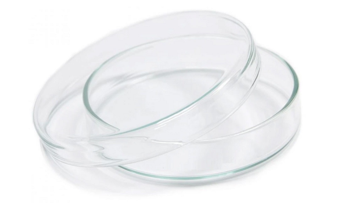 Petri Dishes, Glass